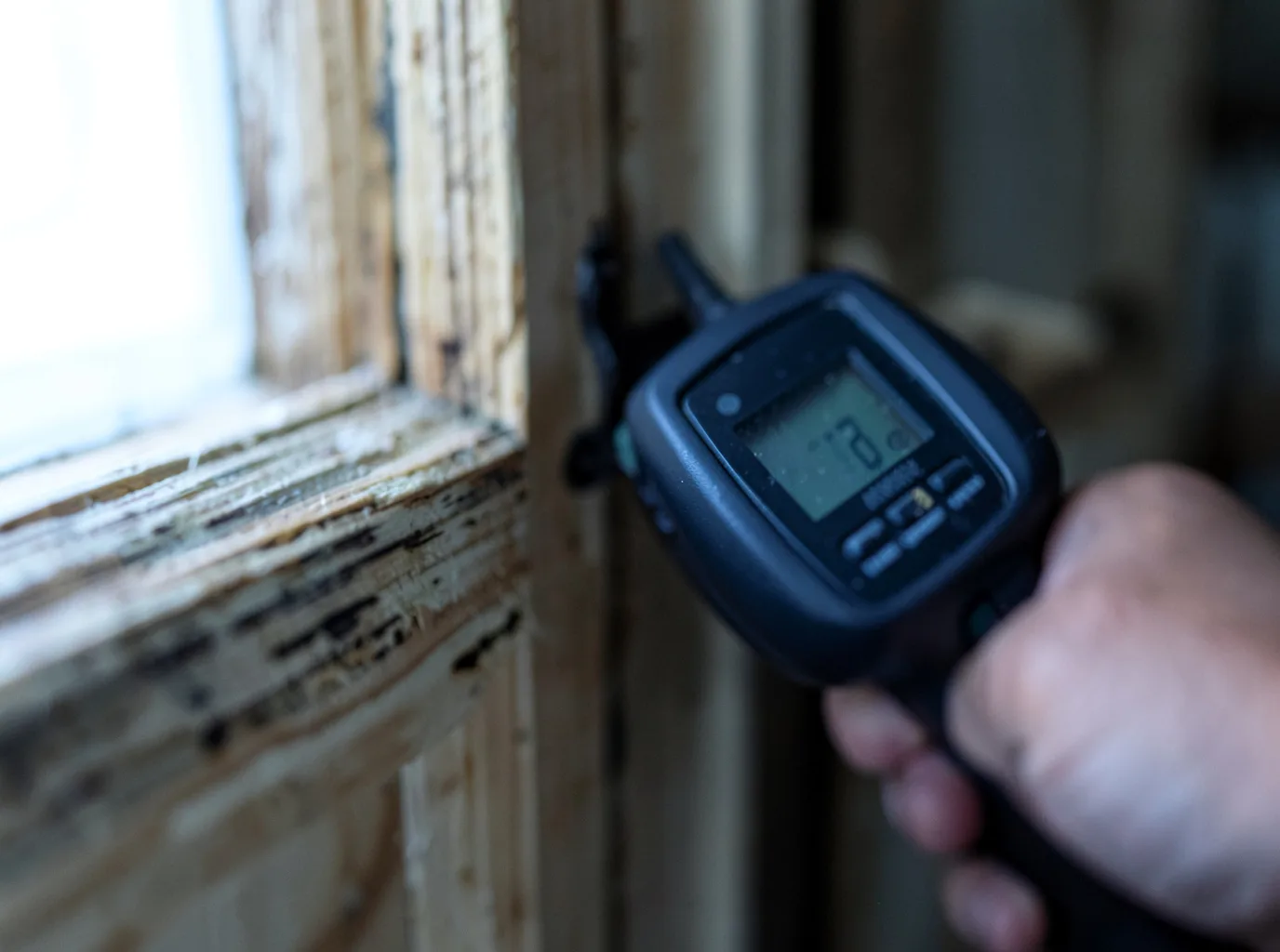 Water Damage Restoration Scotland Neck, NC FAQs